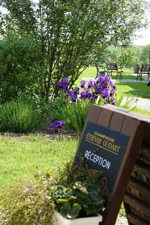 Brugny-Vaudancourt Le Manoir Des Aromes酒店 外观 照片
